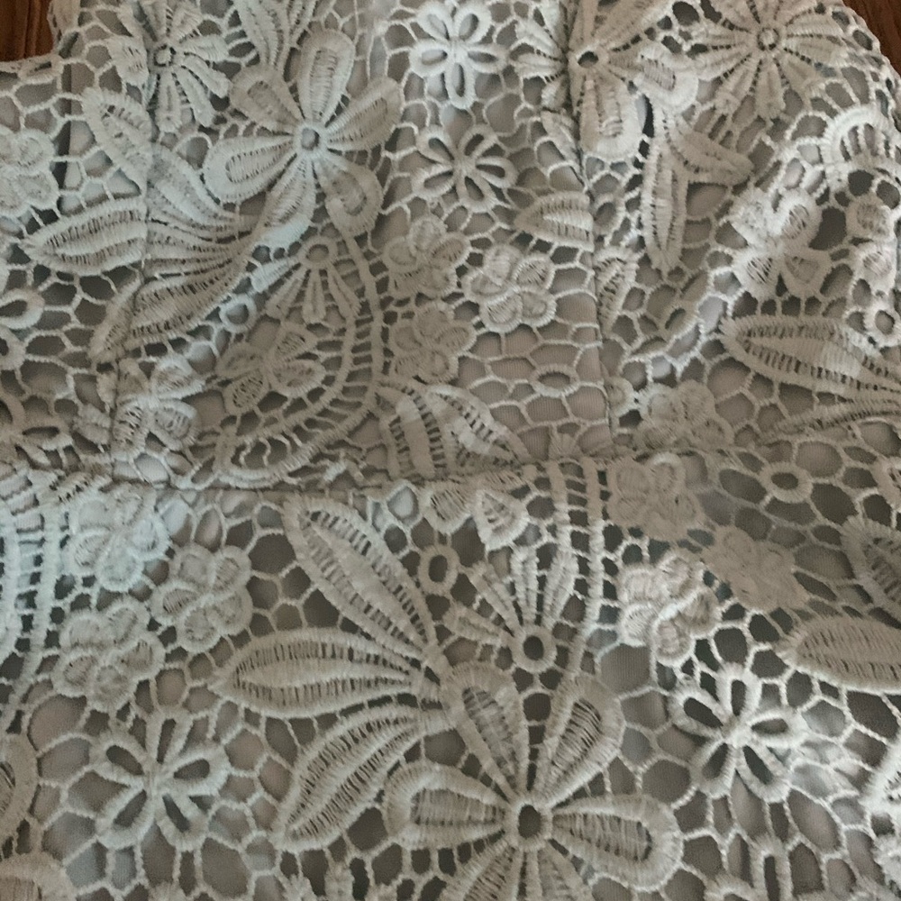 Lulus lace dress - Picture 14 of 16
